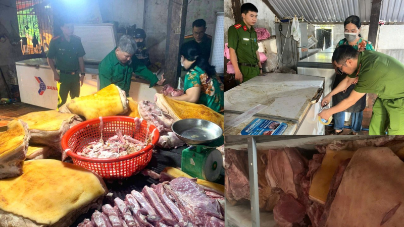 Tiêu hủy gần 800kg thịt heo ôi thiu, nhiễm dịch tả lợn châu Phi- Ảnh 1.