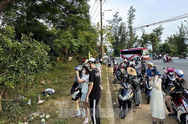 T&aacute;i diễn vấn nạn du kh&aacute;ch tới b&aacute;n đảo Sơn Tr&agrave; cho khỉ ăn- Ảnh 1.