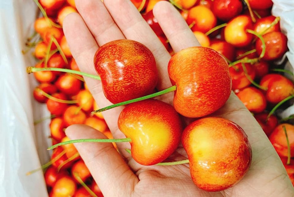 1 loại quả nhiều sắt hơn thịt bò, được Việt Nam chi hơn 1.257 tỷ đồng để thu mua: Bổ máu và trí não, còn bảo vệ tim hiệu quả- Ảnh 2.
