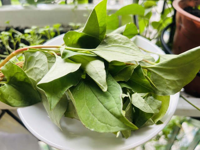 Món nước xanh ngắt được ví như thuốc quý, uống chăm tóc mọc xanh như tép- Ảnh 1.