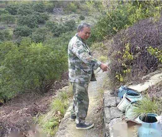 Thấy tiếng động lạ trong xô nước, cán bộ kiểm lâm hân hoan tìm thấy loài "tuyệt chủng" hơn 30 năm- Ảnh 1.