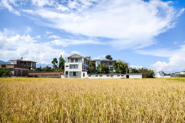 4 anh em về quê góp tiền xây biệt thự trên mảnh đất 700m2: Đủ làm nơi nghỉ hưu cho gia đình 11 người- Ảnh 8.