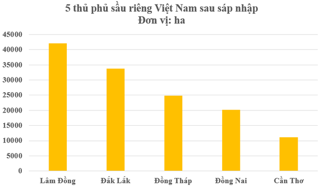 Việt Nam có thủ phủ sầu riêng mới sau sáp nhập tỉnh thành, diện tích trồng chiếm 1/4 cả nước- Ảnh 2.