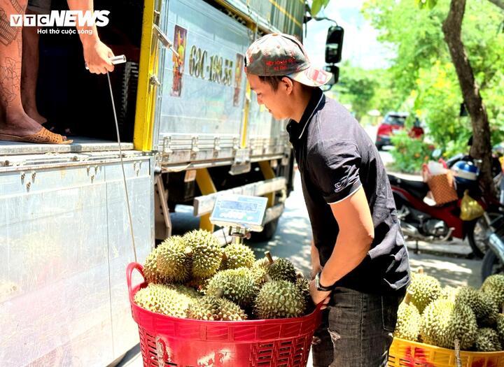 Nỗi oan sầu riêng 'nhúng thuốc'- Ảnh 2.