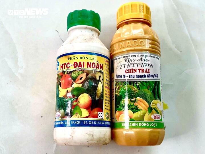Nỗi oan sầu riêng 'nhúng thuốc'- Ảnh 4.