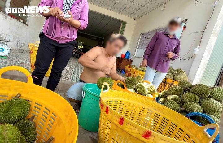 Nỗi oan sầu riêng 'nhúng thuốc'- Ảnh 3.