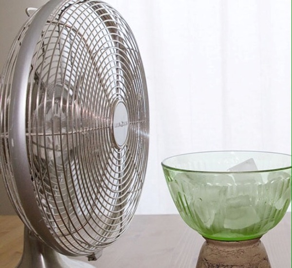 Dùng quạt nửa đời người, tôi nghĩ mình sành, hóa ra 