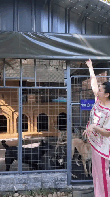 "Chị bán gạo" hot nhất TikTok xây villa cho cún cưng, 2 triệu người cảm thấy... "thua đời"- Ảnh 4.