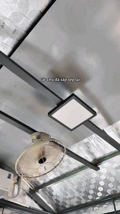 "Chị bán gạo" hot nhất TikTok xây villa cho cún cưng, 2 triệu người cảm thấy... "thua đời"- Ảnh 6.
