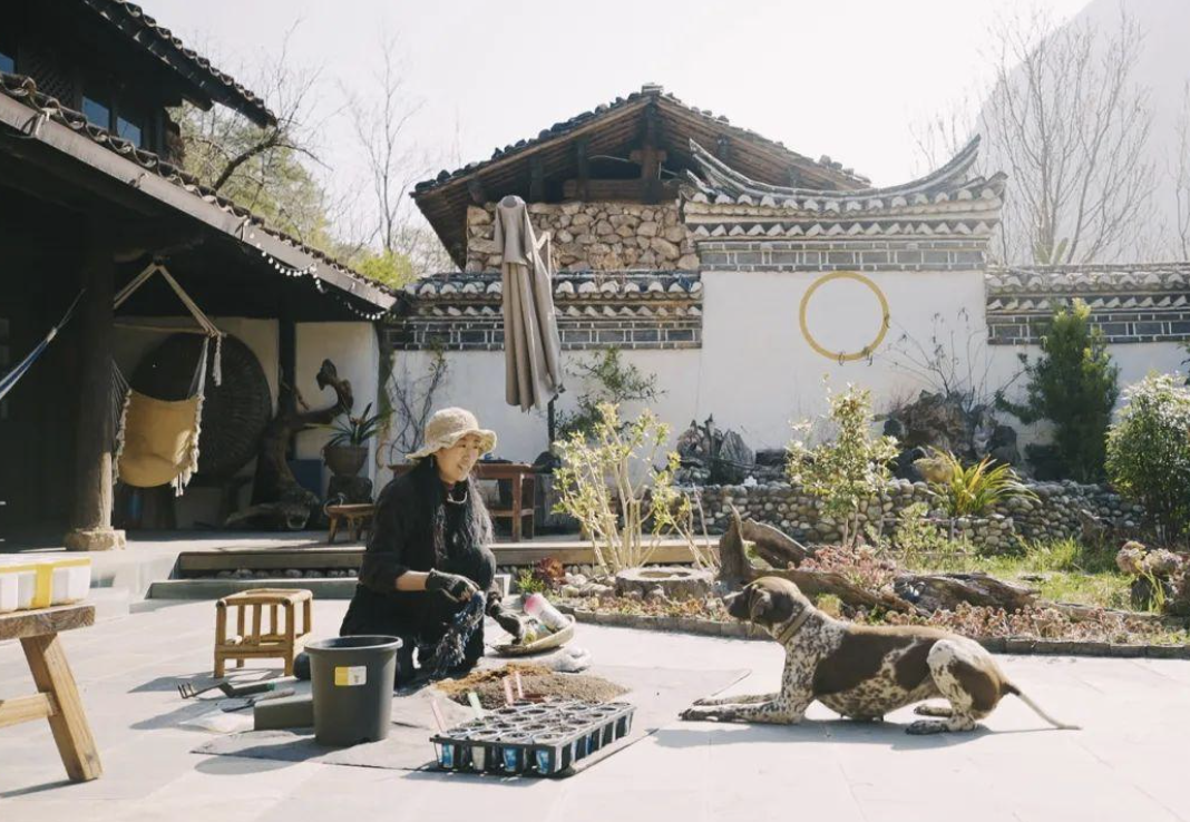 Cô gái 34 tuổi thuê 12.000m2 đất hoang để "sống chill", tự tay tạo nên "thiên đường" giữa thiên nhiên- Ảnh 3.