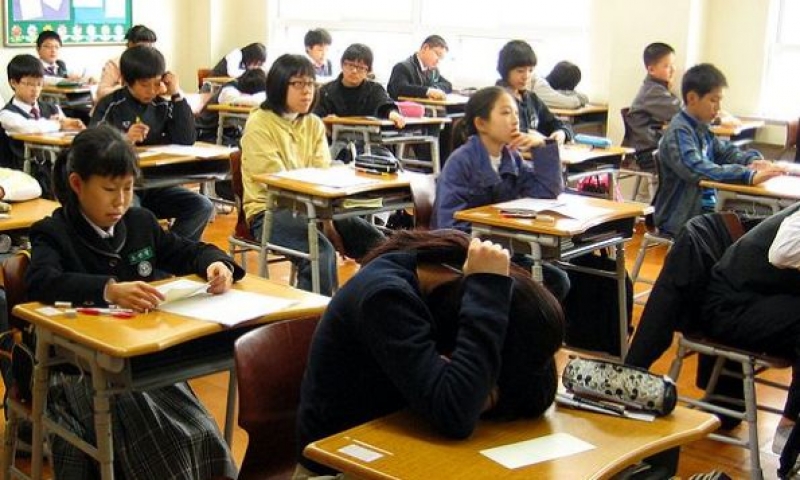 Chuyên gia giáo dục 17 năm kinh nghiệm chia sẻ: 3 cách giải quyết bạo lực học đường "chuẩn giáo khoa" - cha mẹ đọc NGAY để bảo vệ con đúng đắn- Ảnh 1.