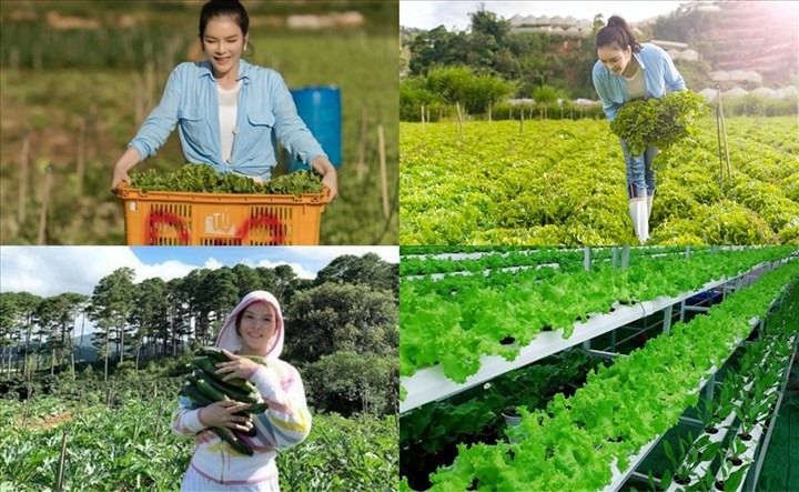 Nữ diễn viên sở hữu nông trại 50.000m² ở Đà Lạt, 5 két sắt kim cương, bỏ đóng phim vẫn hot khủng khiếp- Ảnh 7. Nữ diễn viên sở hữu nông trại 50.000m² ở Đà Lạt, 5 két sắt kim cương, bỏ đóng phim vẫn hot khủng khiếp- Ảnh 7.