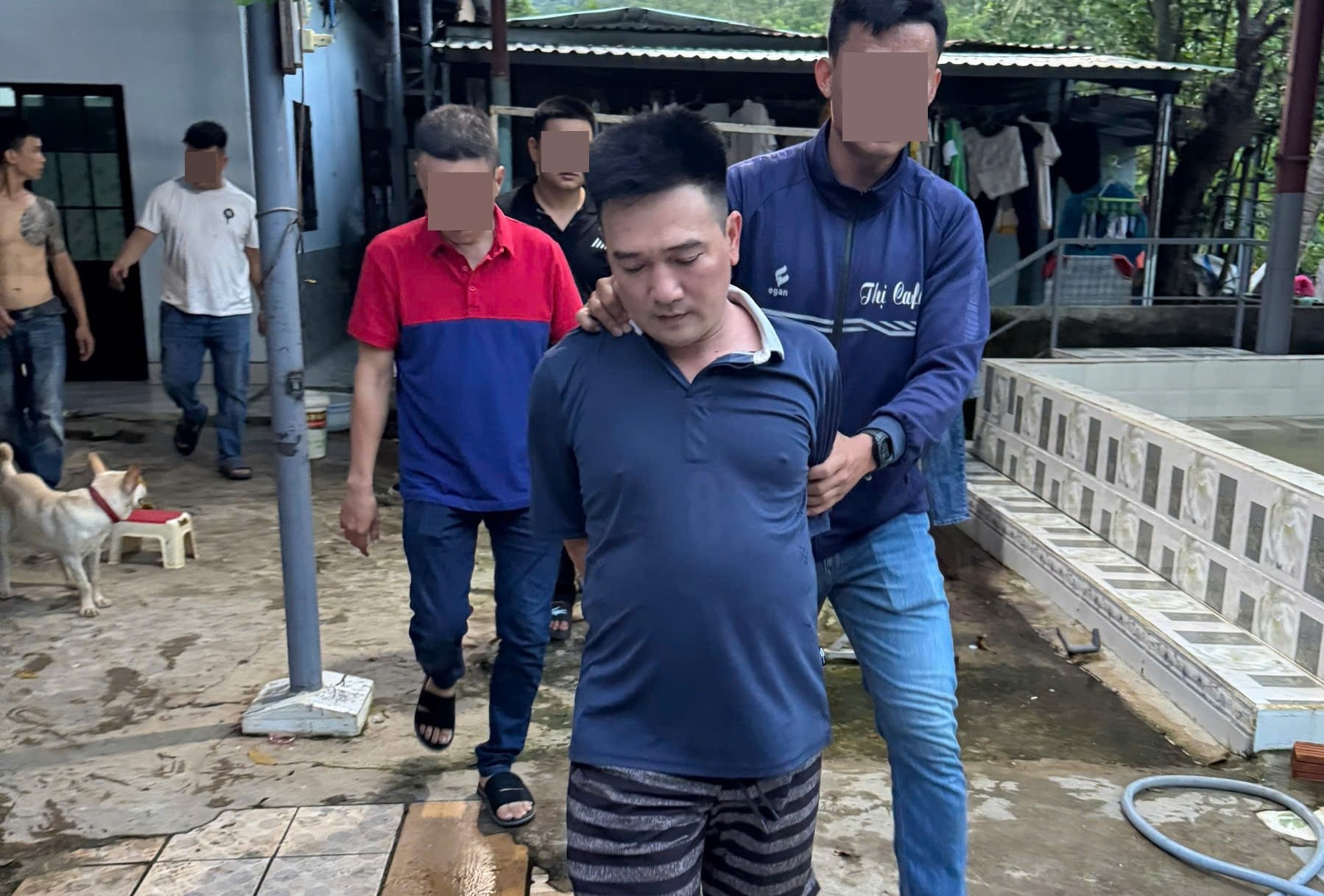 Bí mật của một trại nuôi gà nằm ở vùng ven Đà Nẵng- Ảnh 1.