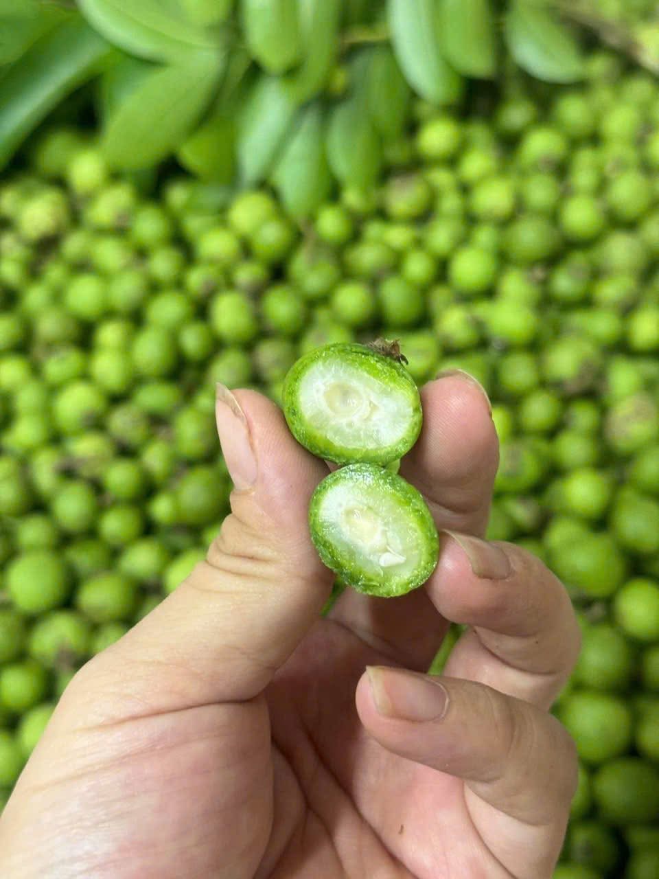 Loại quả chát xít, ngày xưa ăn với muối ớt “cho vui”, giờ thành đặc sản phố cổ Hà Nội khiến khách Tây phát cuồng- Ảnh 5.