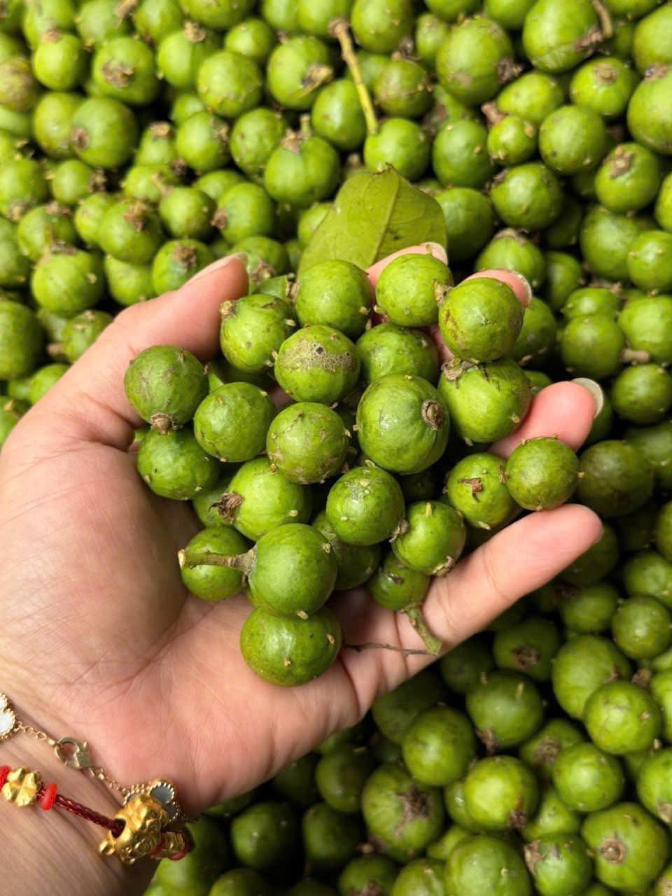 Loại quả chát xít, ngày xưa ăn với muối ớt “cho vui”, giờ thành đặc sản phố cổ Hà Nội khiến khách Tây phát cuồng- Ảnh 3.
