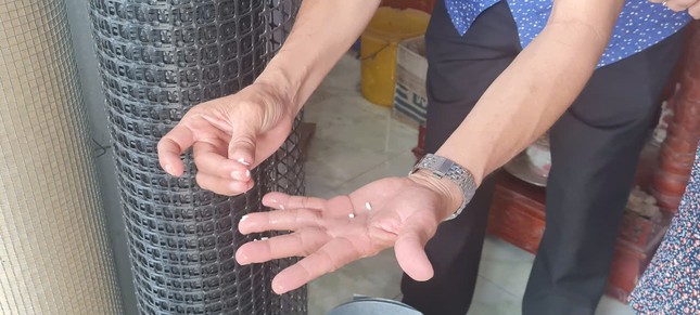 Phát hiện ‘gạo lạ’ ở Hậu Giang- Ảnh 1.