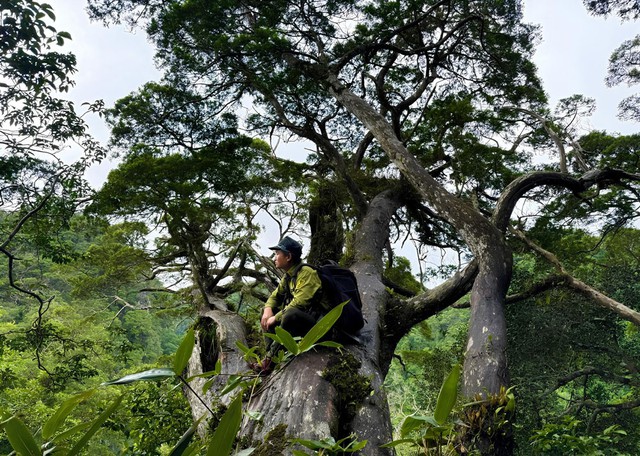 Những kho báu ở Phong Nha - Kẻ Bàng- Ảnh 3.