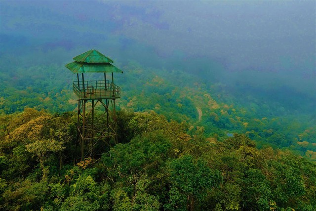 Những kho báu ở Phong Nha - Kẻ Bàng- Ảnh 1.