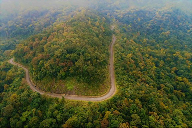 Những kho báu ở Phong Nha - Kẻ Bàng- Ảnh 2.
