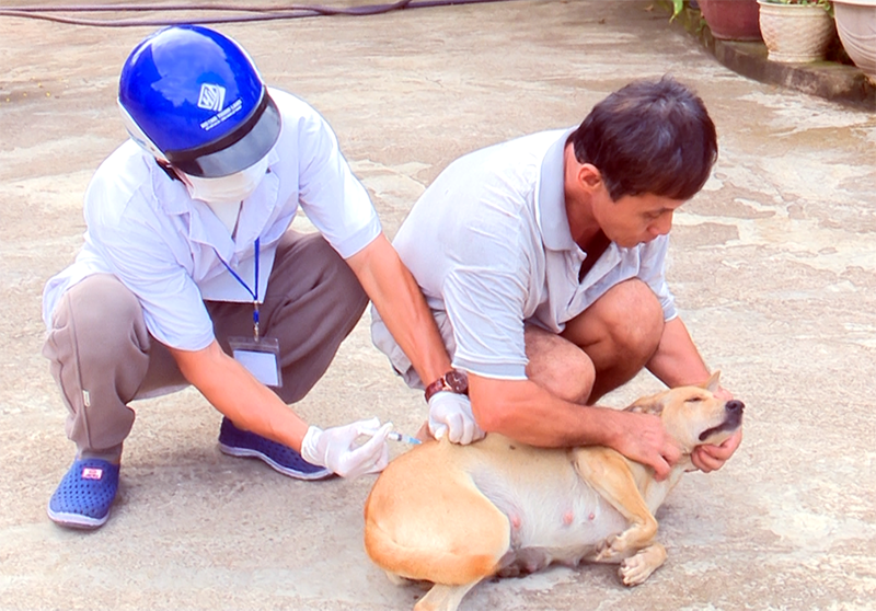 Bị chó nuôi trong nhà cắn trước Tết, người đàn ông vừa lên cơn “sợ gió, sợ nước” rồi tử vong- Ảnh 1.