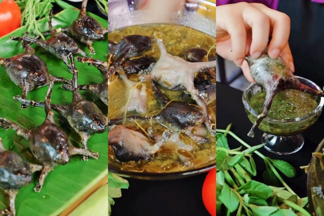 Món ăn nhìn như sinh vật lạ, nhiều người 