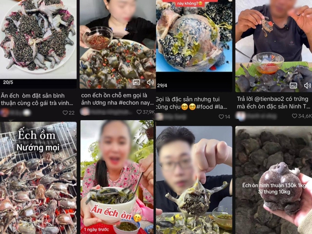Món ăn nhìn như sinh vật lạ, nhiều người 