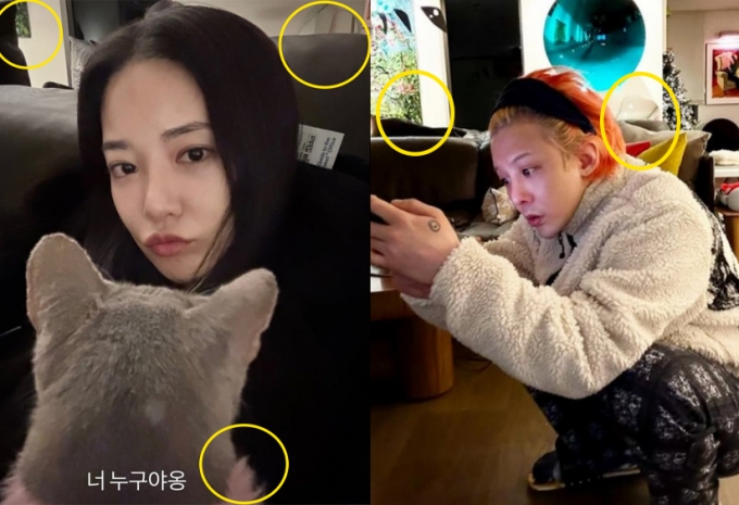 “Ông hoàng Kpop” G-Dragon chuẩn bị cưới?- Ảnh 6.