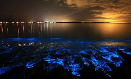 Bãi biển Hạ Long phát sáng kỳ ảo trong đêm, dân mạng phát sốt, du khách rủ nhau đi săn hiện tượng lạ- Ảnh 8.