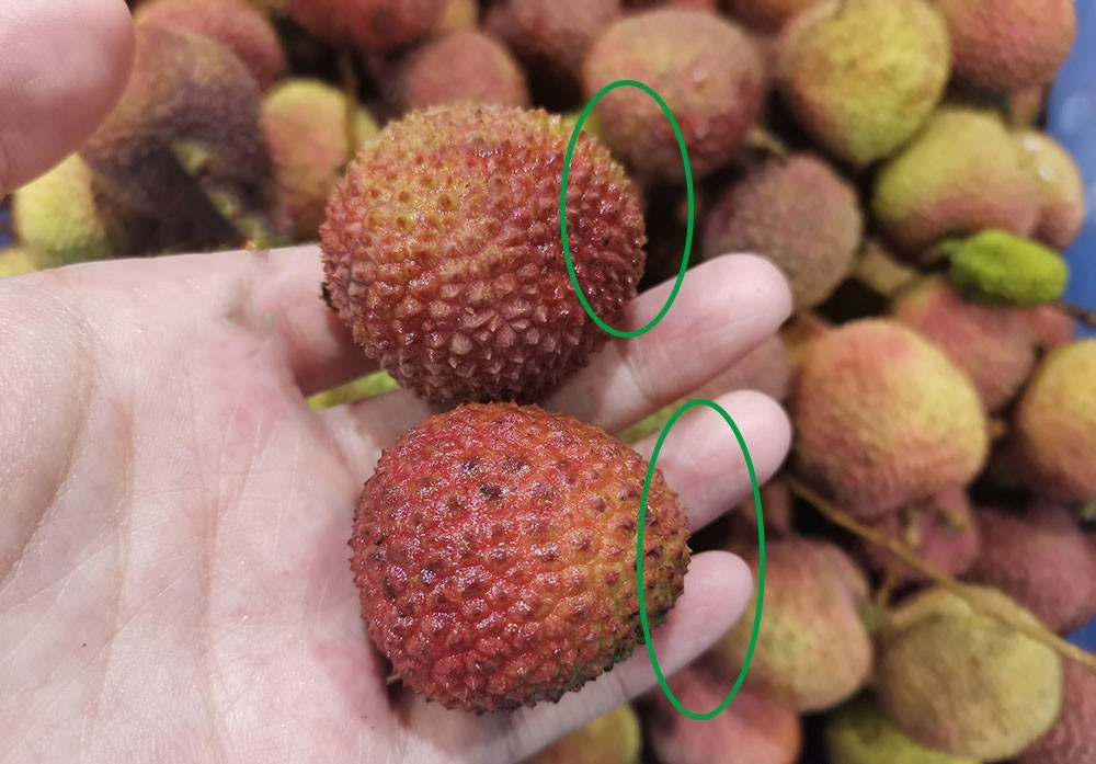 Mùa vải đến rồi, nhưng đừng vội mua nếu gặp 4 kiểu này - ai mua là tiếc đứt ruột!- Ảnh 2. Mùa vải đến rồi, nhưng đừng vội mua nếu gặp 4 kiểu này - ai mua là tiếc đứt ruột!- Ảnh 2.
