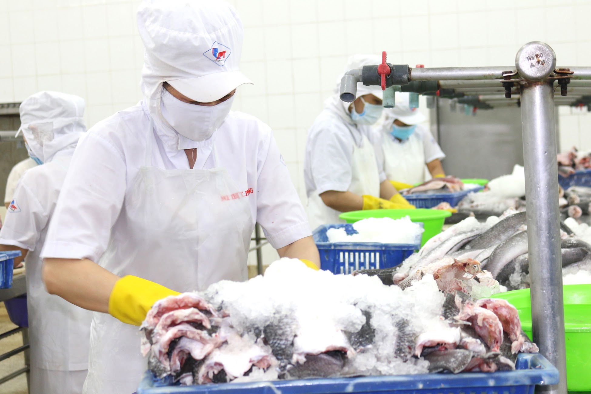 5 khoản tiền người lao động được nhận khi nghỉ việc từ năm 2025- Ảnh 1.