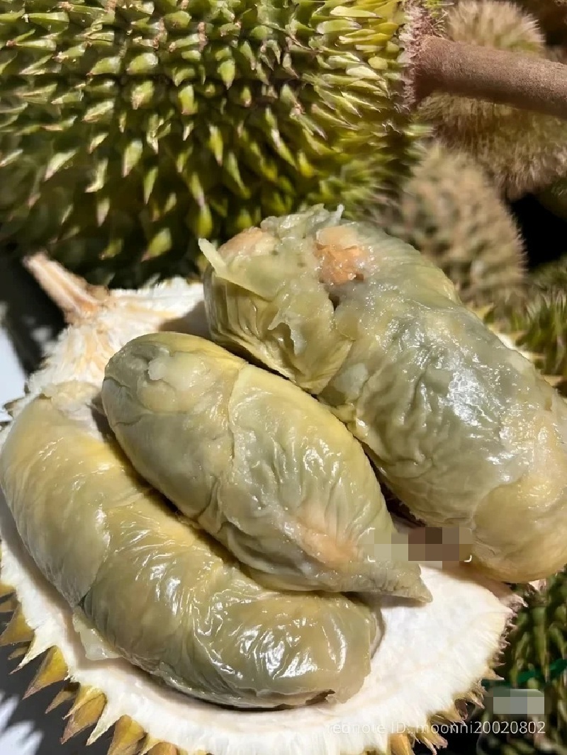 Giống sầu riêng có màu như bị mốc nhưng hương vị gây "nghiện", giá gần 1 triệu đồng/kg- Ảnh 2.