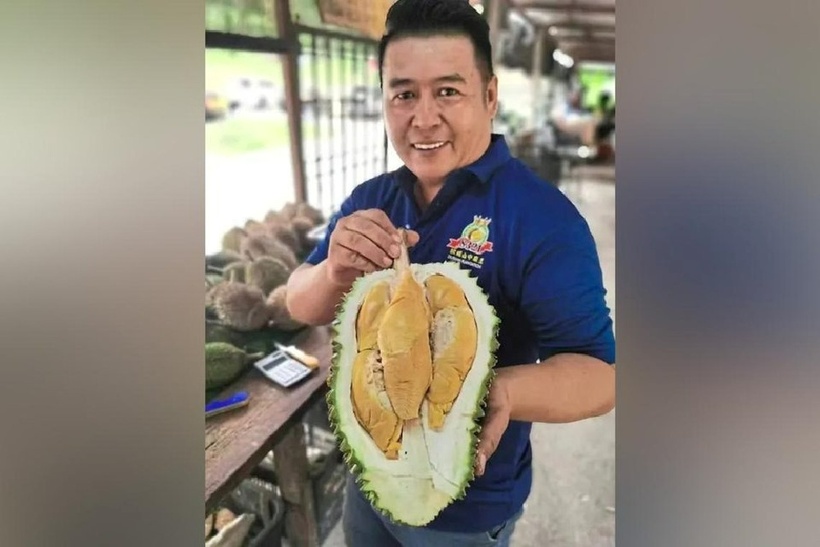 Giống sầu riêng có màu như bị mốc nhưng hương vị gây "nghiện", giá gần 1 triệu đồng/kg- Ảnh 1.