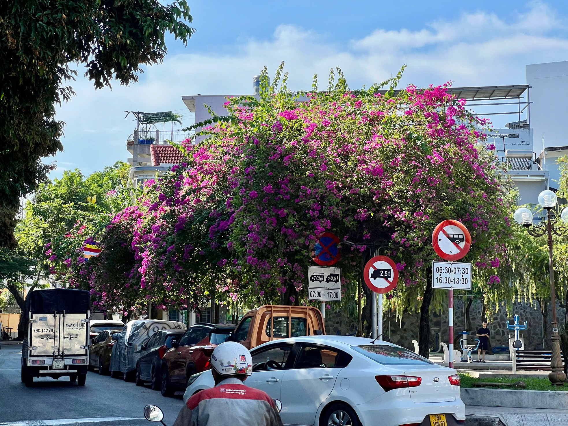 Du khách thích mê đường hoa giấy rực rỡ ở Nha Trang- Ảnh 10.