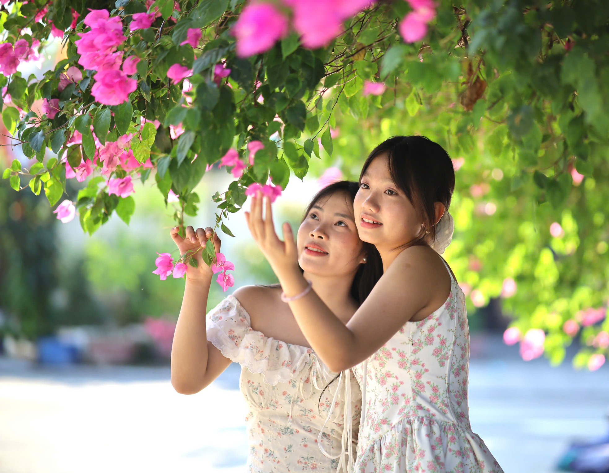 Du khách thích mê đường hoa giấy rực rỡ ở Nha Trang- Ảnh 8.