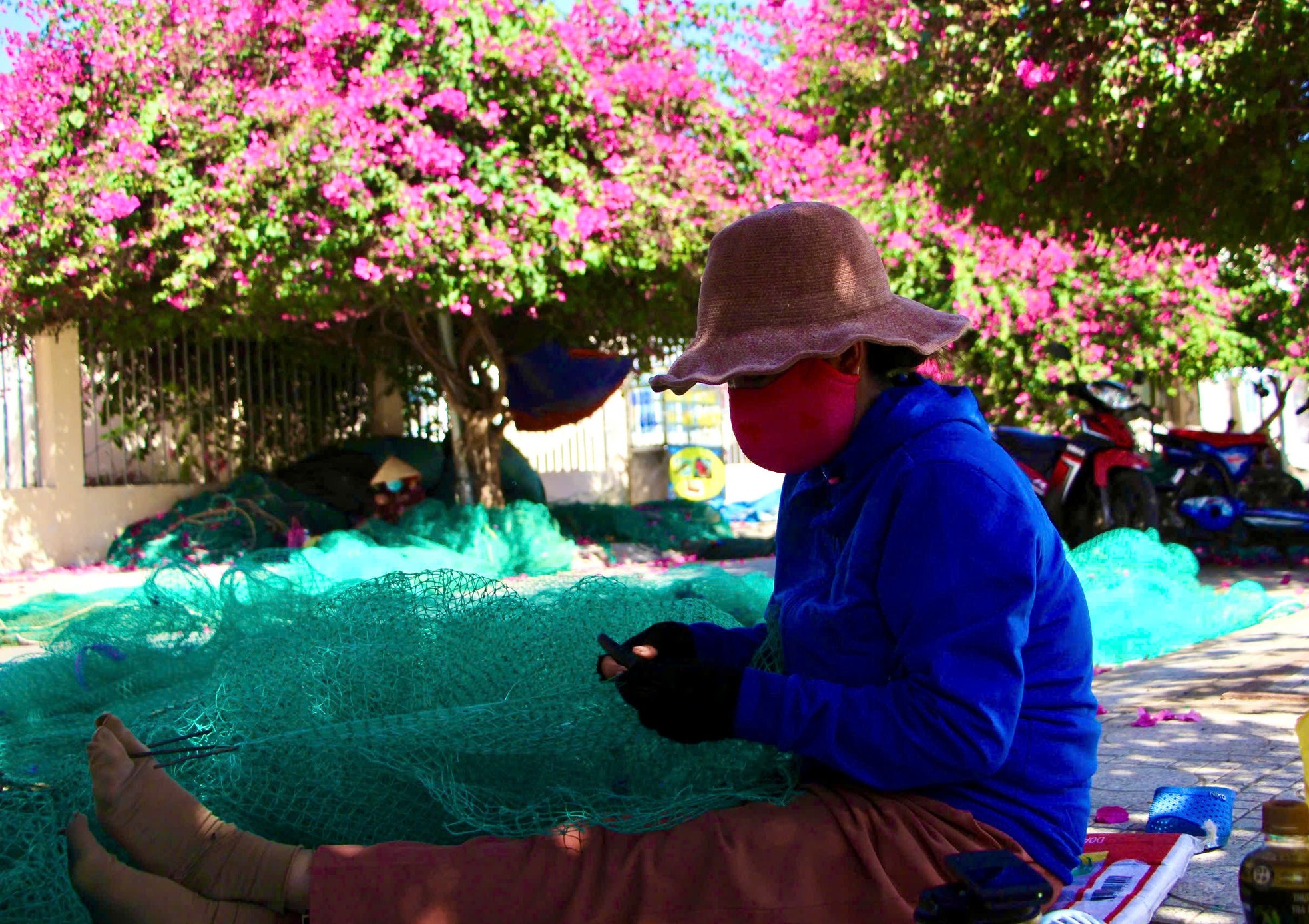 Du khách thích mê đường hoa giấy rực rỡ ở Nha Trang- Ảnh 9.