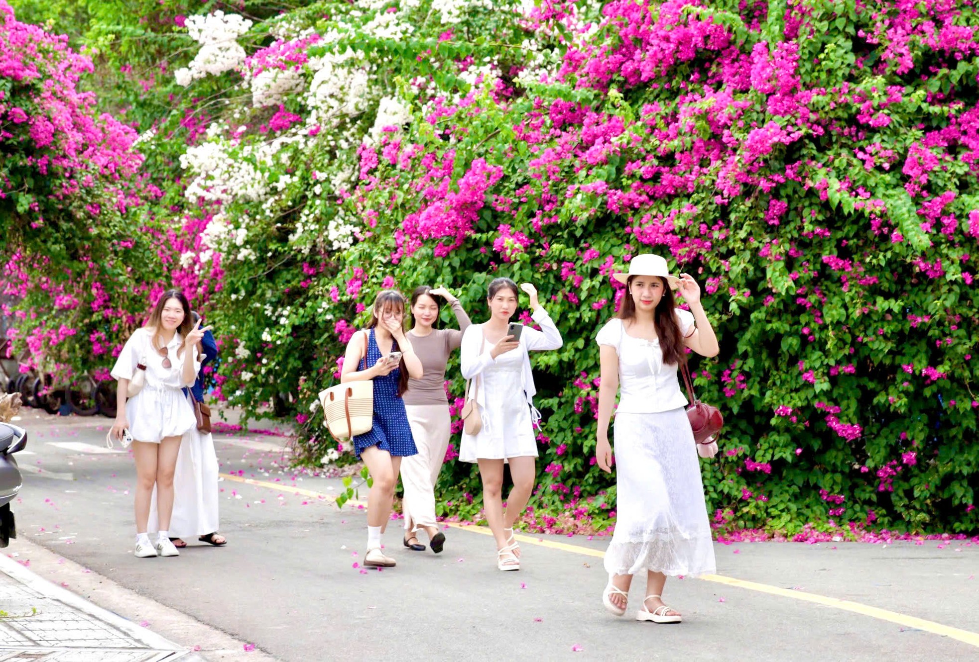 Du khách thích mê đường hoa giấy rực rỡ ở Nha Trang- Ảnh 3.
