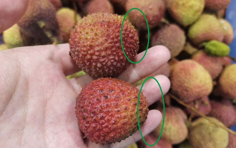 Mùa vải đến rồi, nhưng đừng vội mua nếu gặp 4 kiểu này - ai mua là tiếc đứt ruột!- Ảnh 1. Mùa vải đến rồi, nhưng đừng vội mua nếu gặp 4 kiểu này - ai mua là tiếc đứt ruột!- Ảnh 1.