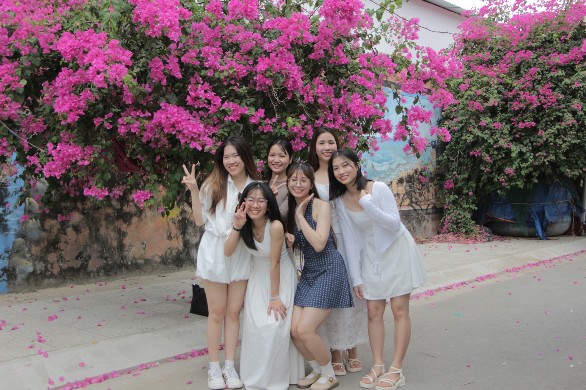 Du khách thích mê đường hoa giấy rực rỡ ở Nha Trang- Ảnh 7.