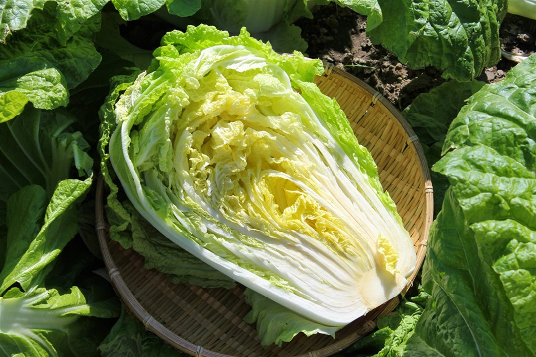 Mỹ đánh giá Mỹ đánh giá