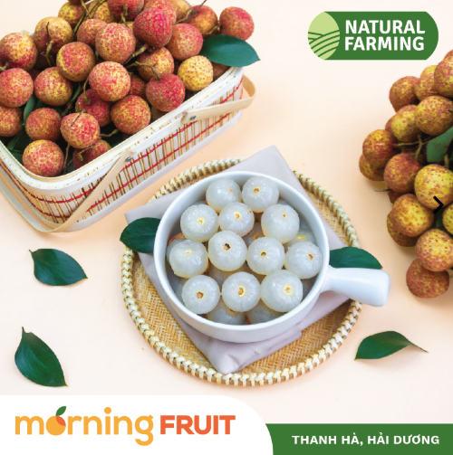 Mùa vải đến rồi, nhưng đừng vội mua nếu gặp 4 kiểu này - ai mua là tiếc đứt ruột!- Ảnh 7. Mùa vải đến rồi, nhưng đừng vội mua nếu gặp 4 kiểu này - ai mua là tiếc đứt ruột!- Ảnh 7.
