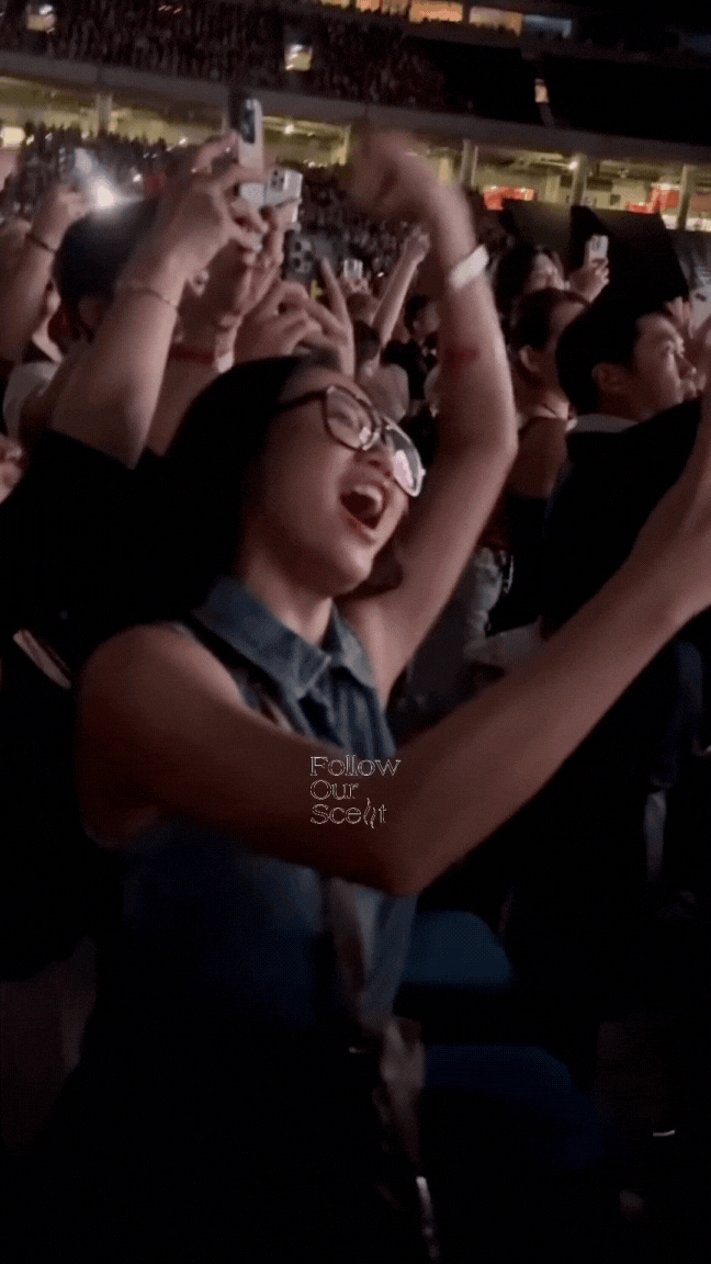 Đi xem siêu concert ở Singapore, nữ ca sĩ Vbiz bị dân mạng chế giễu: Ai mới là Lady Gaga?- Ảnh 2.