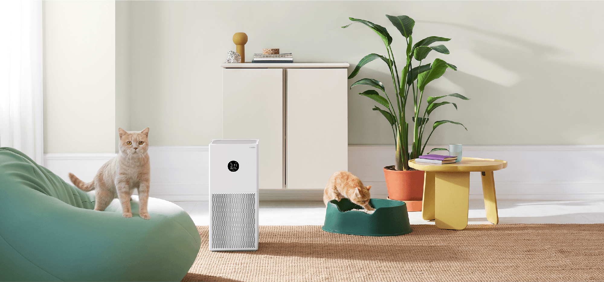 Ngày của Mẹ sắp đến, mua quà gì để ghi điểm tuyệt đối, lập tức trở thành Ngày của Mẹ sắp đến, mua quà gì để ghi điểm tuyệt đối, lập tức trở thành