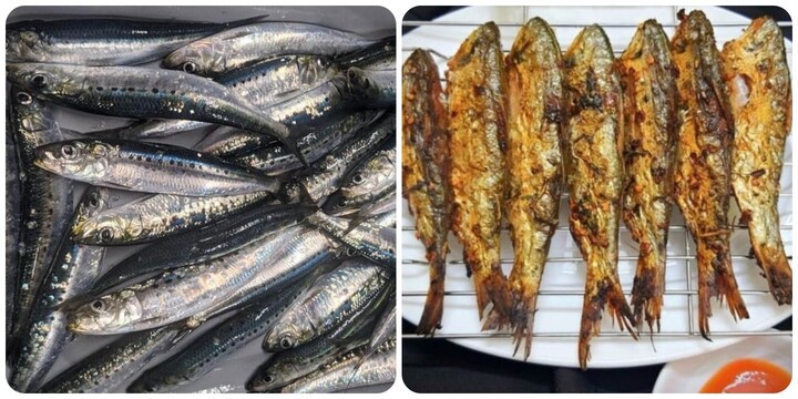 Loại cá nhỏ nhưng chứa nhiều Omega-3 và canxi bạn nên ăn thường xuyên- Ảnh 1. Loại cá nhỏ nhưng chứa nhiều Omega-3 và canxi bạn nên ăn thường xuyên- Ảnh 1.