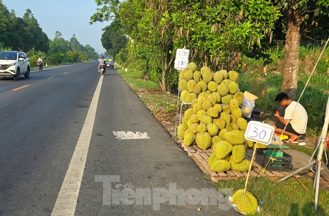 Sầu riêng 'rẻ như bèo' bán đầy đường- Ảnh 1.