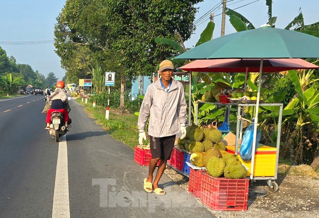 Sầu riêng 'rẻ như bèo' bán đầy đường- Ảnh 2.