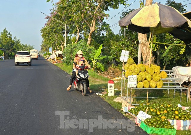 Sầu riêng 'rẻ như bèo' bán đầy đường- Ảnh 4.