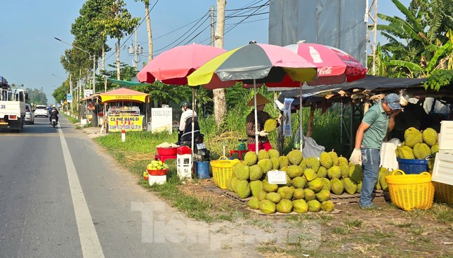 Sầu riêng 'rẻ như bèo' bán đầy đường- Ảnh 11.