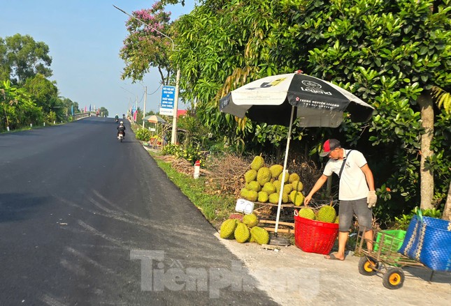 Sầu riêng 'rẻ như bèo' bán đầy đường- Ảnh 3.