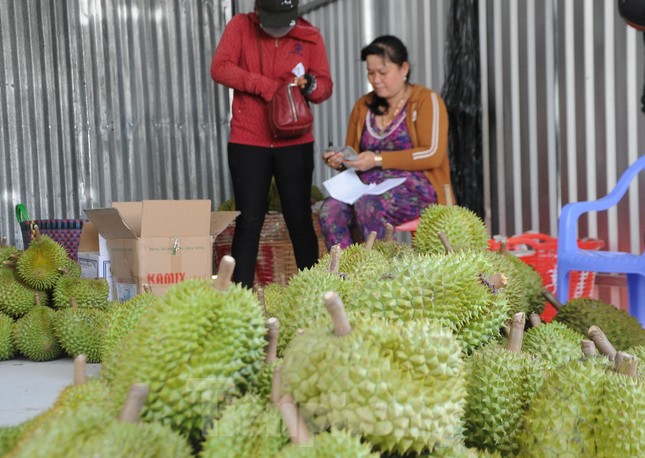 Sầu riêng 'rẻ như bèo' bán đầy đường- Ảnh 9.