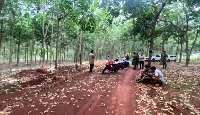 Bàng hoàng phát hiện thi thể nam giới treo lơ lửng trên cây cao su- Ảnh 1.